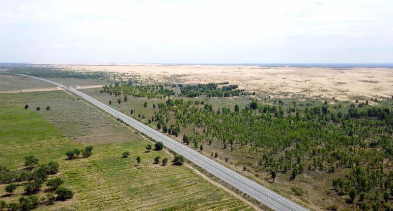 На севере Китая открылся научно-исследовательский институт в рамках проекта защитных лесополос "Три севера"