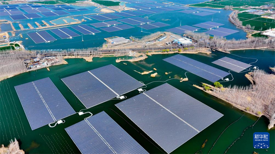 Объединение сельского хозяйства и производства солнечной энергии в провинции Шаньдун