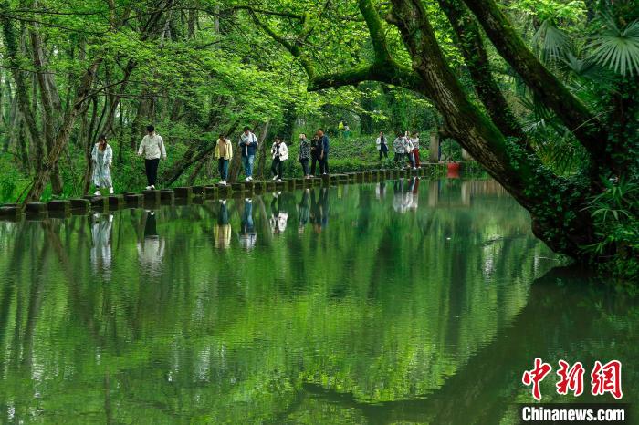 Экопутешествия привлекают туристов в город Хуаншань