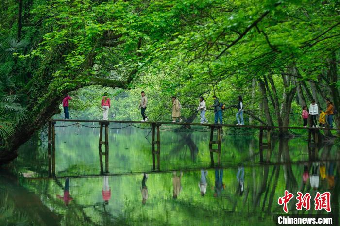 Экопутешествия привлекают туристов в город Хуаншань
